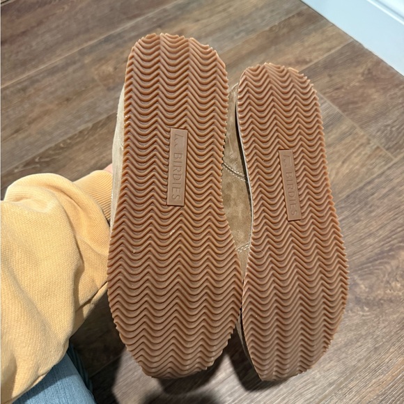 Birdies Roadrunner Suede Sneakers with Cream Accents - Picture 6 of 6